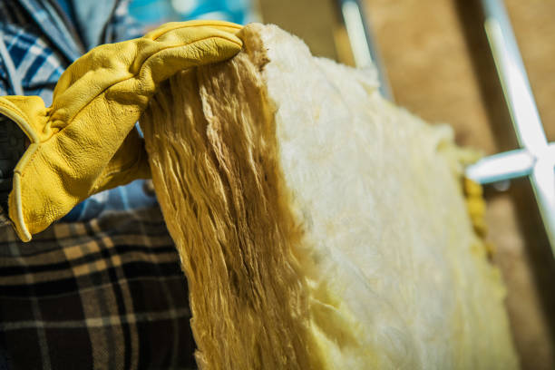 Best Insulation Replacement Services  in Dearborn, MI